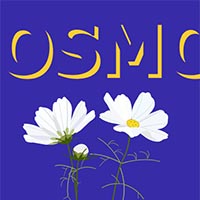 Animate  - JS файл